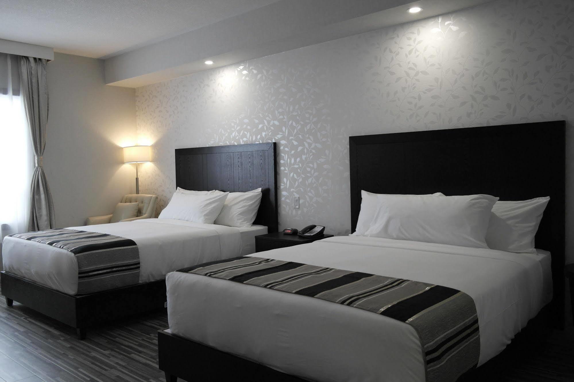 Stars Inn Leduc Ngoại thất bức ảnh